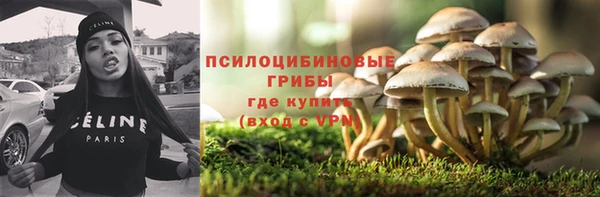 гидропоника Магас