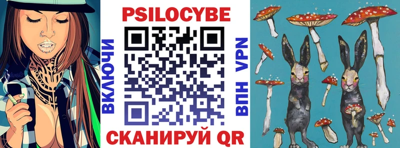 Галлюциногенные грибы Magic Shrooms  Купить закладки  Луховицы 